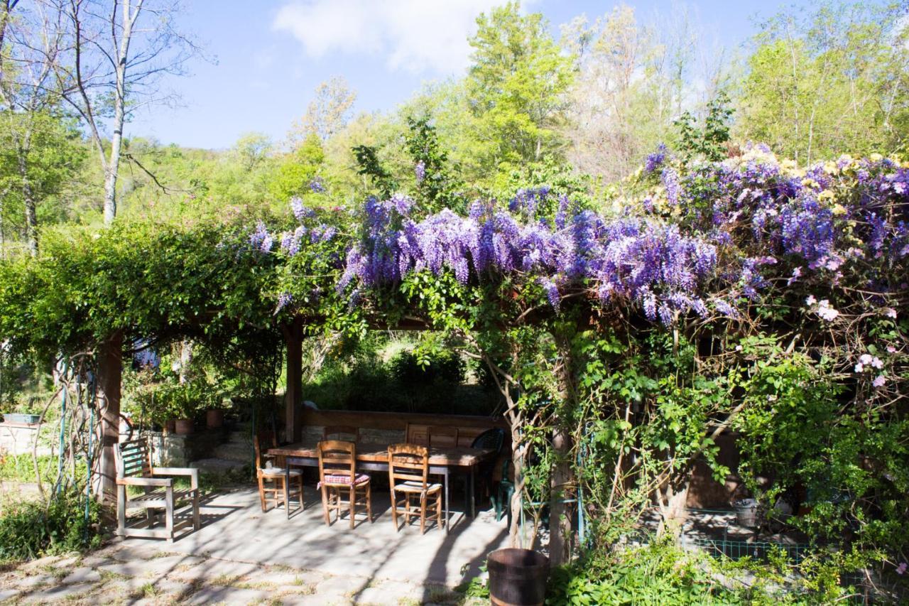 La Cavanella B&B Camugnano Eksteriør bilde